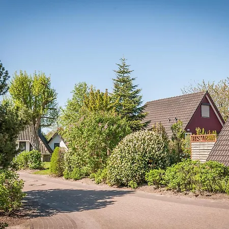 Opi Huck Stroot 42 *