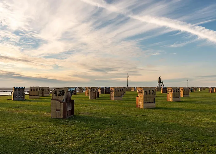 Opi Huck Stroot 42 * دورم نيوفيلد