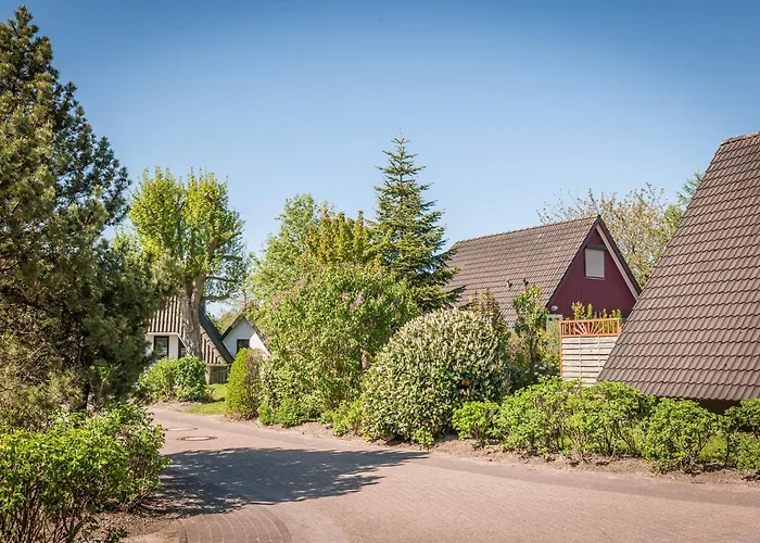 Opi Huck Stroot 42 *