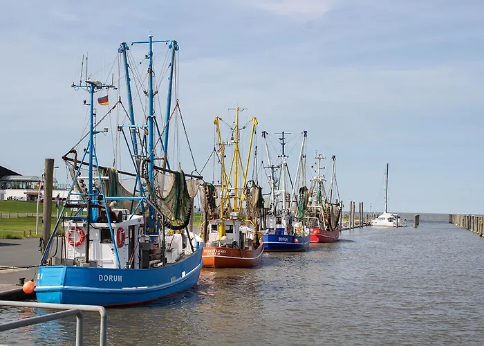 Opi Huck Stroot 42 بيت للعطل دورم نيوفيلد