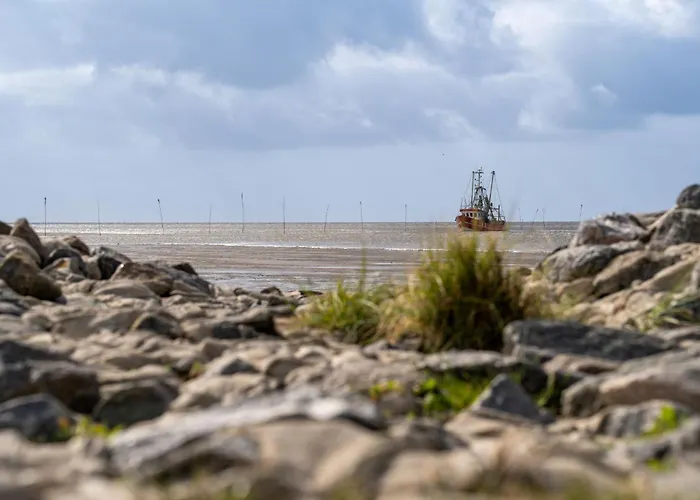 Opi Huck Stroot 42 بيت للعطل *